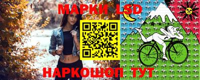 тгк Донской