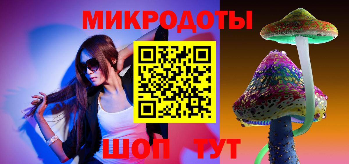 Михайловск  Галлюциногенные грибы Psilocybe  Вход с VPN 